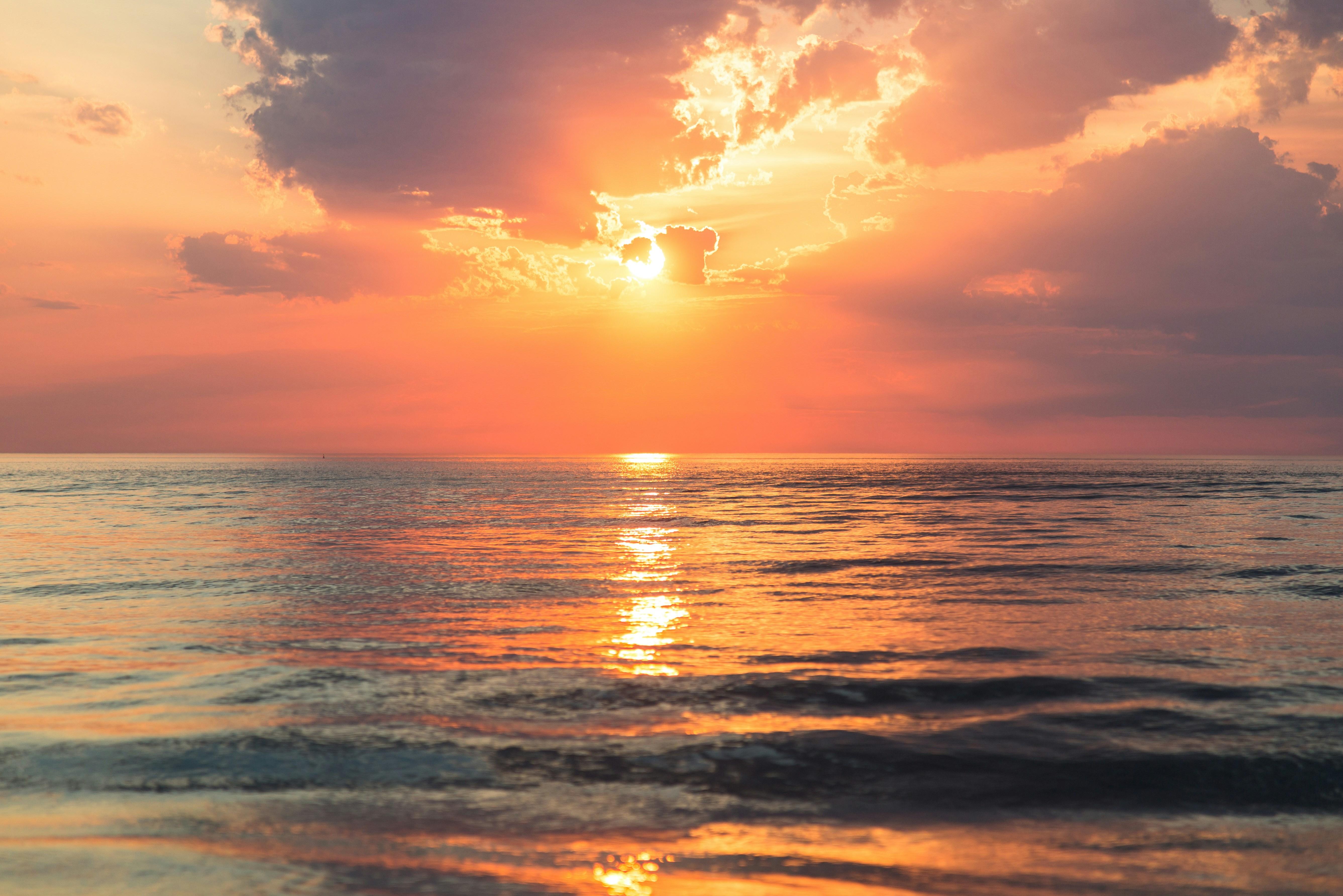 Seamless Mobility. Drive Your Journey with Turiscar.